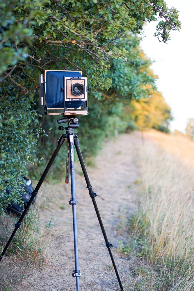 Intrepid 10x8 Field Camera Review — Richard Pickup Photography